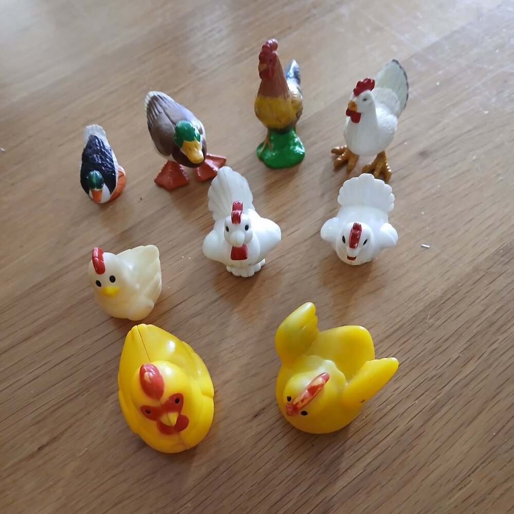 Farm animal Ducks & Chickens x 9